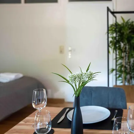 Bernhards Kossgasse - Gratis Parken, Klimaanlage & Balkon Graz